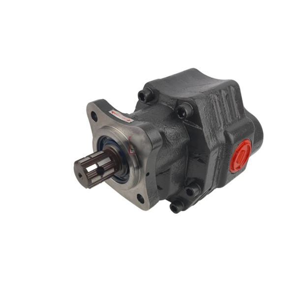 Hydraulikpumpe 110lt mit Getriebe, bidirektional 220 240 bar | CW-CCW