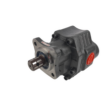 Hydraulikpumpe 110lt mit Getriebe, bidirektional 220 240 bar | CW-CCW
