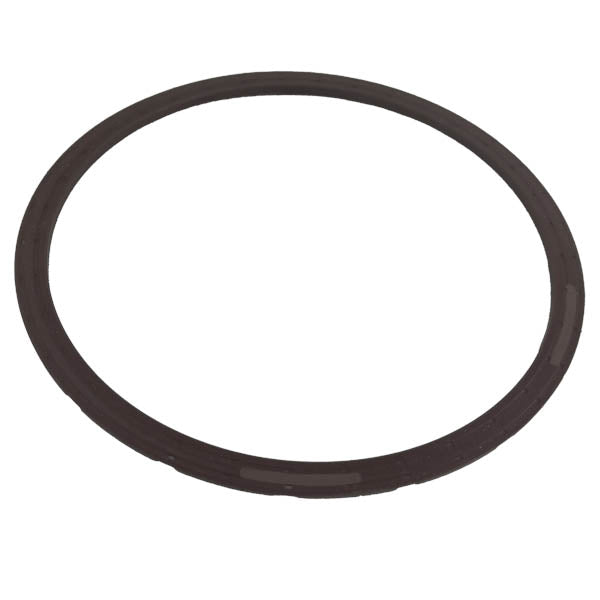 O-Ring / Iveco Differentialdichtung | 40101010, 40101013