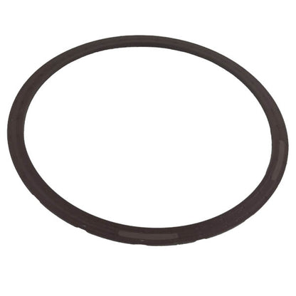 O-Ring / Iveco Differentialdichtung | 40101010, 40101013