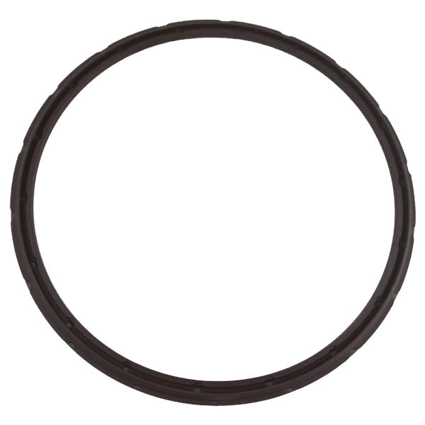 O-Ring / Iveco Differentialdichtung | 40101010, 40101013
