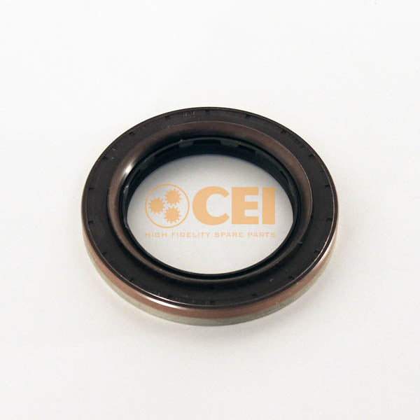 Differentialdichtung hinten DAF CF LF | 1287103