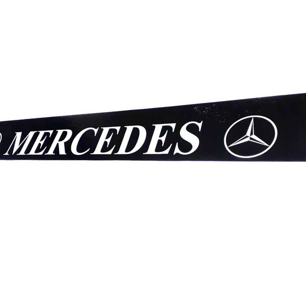 Schmutzfänger Spritzschutz Sattelzug Zugmaschine Mercedes 40x240cm