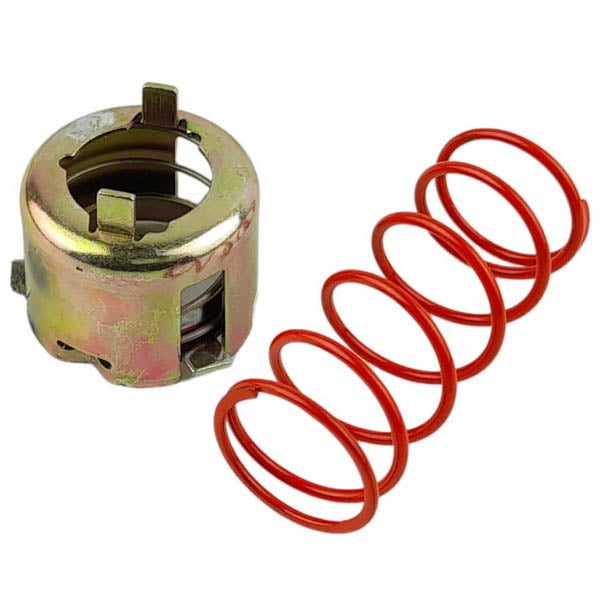 Verriegelungsmechanismus und Einstellfeder für linken Schuh Iveco | 65399617